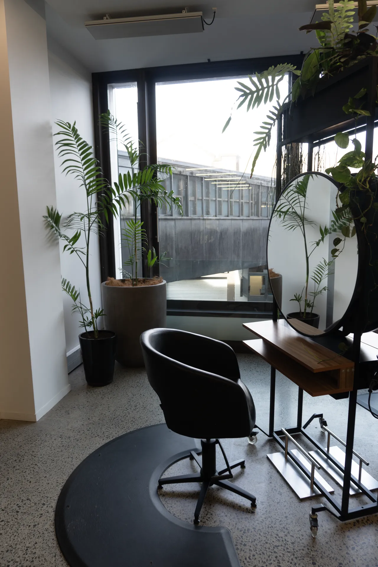 A styling chair by the window beside a potted palm